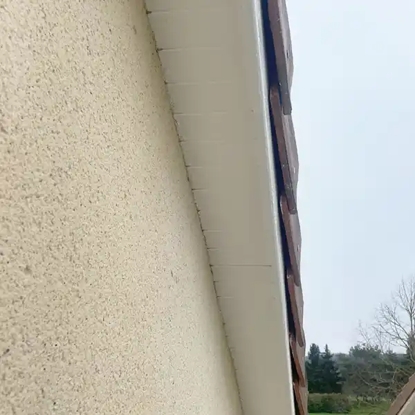 Gros plan sur le mur extérieur d'une maison, avec des stucs de couleur crème et une gouttière en plastique blanc le long du bord du toit, avec des tuiles brunes au-dessus. Des arbres et un ciel nuageux complètent la scène, soulignant la récente rénovation des boiseries.