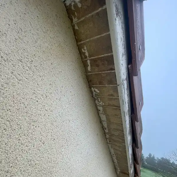 Vue rapproch&eacute;e d'un mur ext&eacute;rieur et de la ligne de toiture d'une maison, illustrant les briques alt&eacute;r&eacute;es sous l'avant-toit et la peinture blanche &eacute;caill&eacute;e - un clich&eacute; id&eacute;al pour la "r&eacute;novation des boiseries en peinture - avant" - avec un ciel nuageux et une faible verdure en arri&egrave;re-plan.